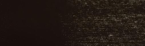 Burnt Umber Dark Paint